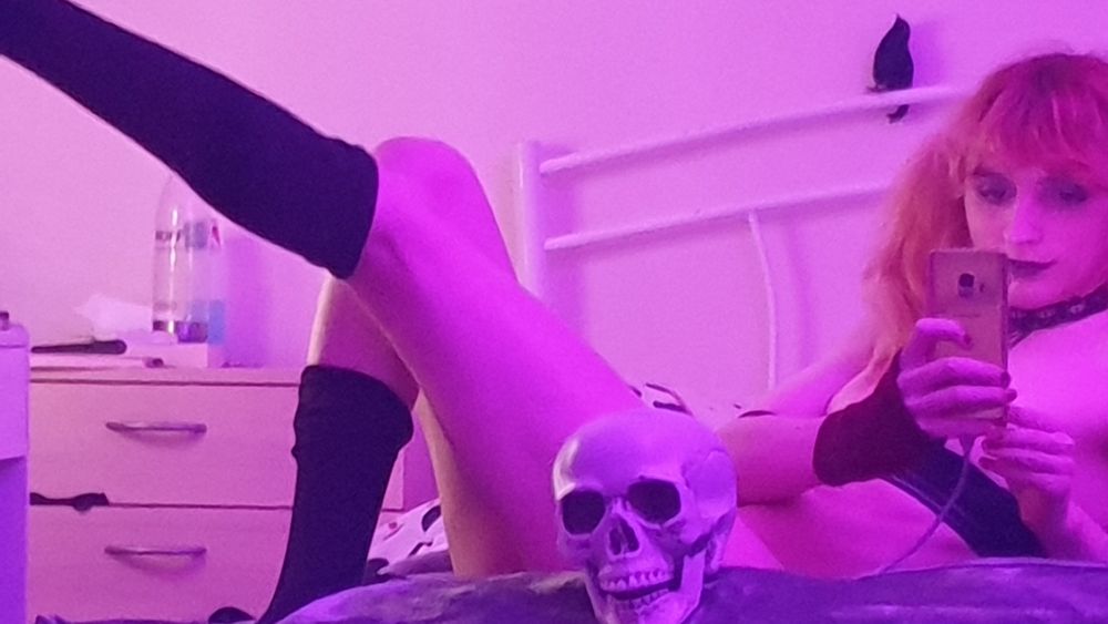 evie.the.enby OnlyFans profile picture