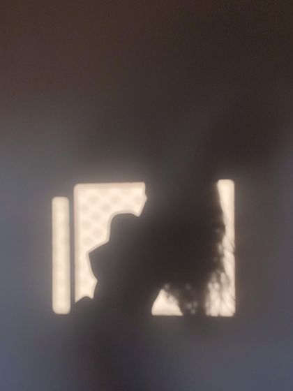 miabluemiss OnlyFans picture