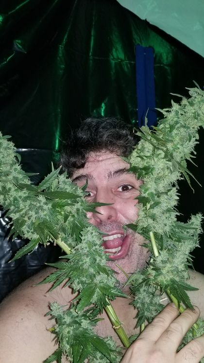 motoweed OnlyFans picture