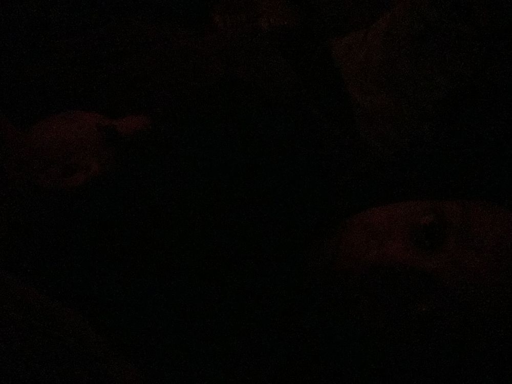 virginstudandbifemale OnlyFans profile picture