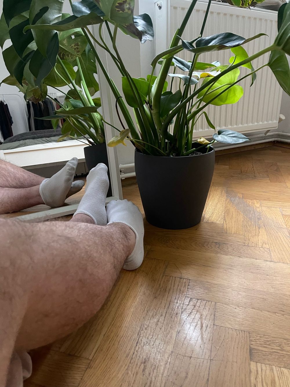onlyfriends_sl OnlyFans profile picture