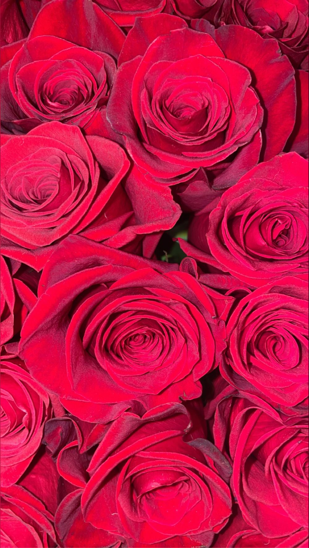 u102696372 OnlyFans profile picture