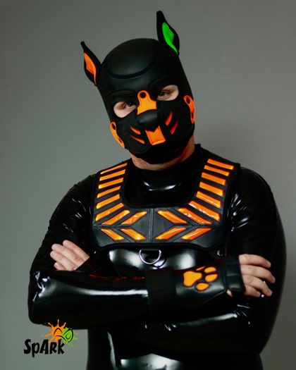 puppyspark_muc OnlyFans picture