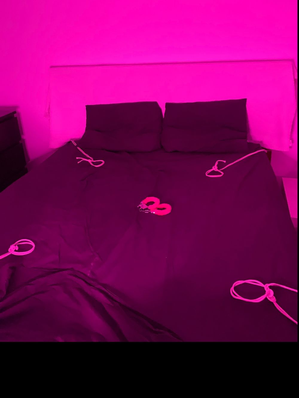 takingyouhigher OnlyFans profile picture