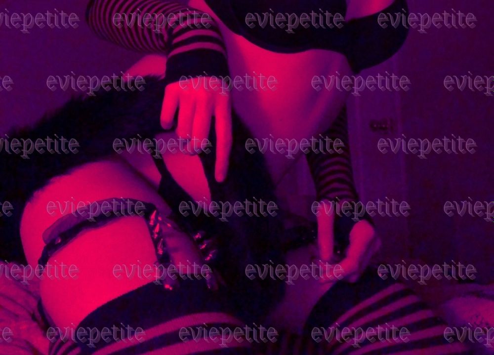 eviepetite OnlyFans profile picture