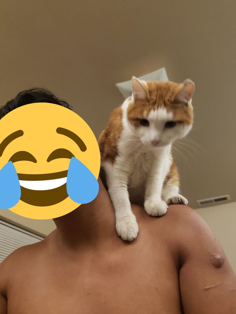 freethebeans19 OnlyFans profile picture