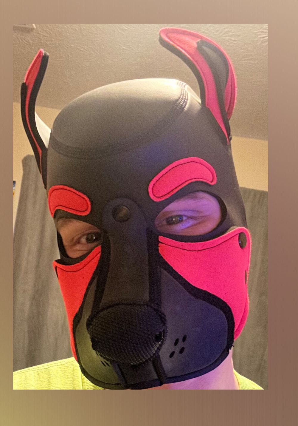 brinkthepup OnlyFans profile picture