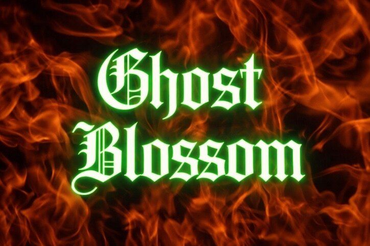 ghostblossom OnlyFans profile picture