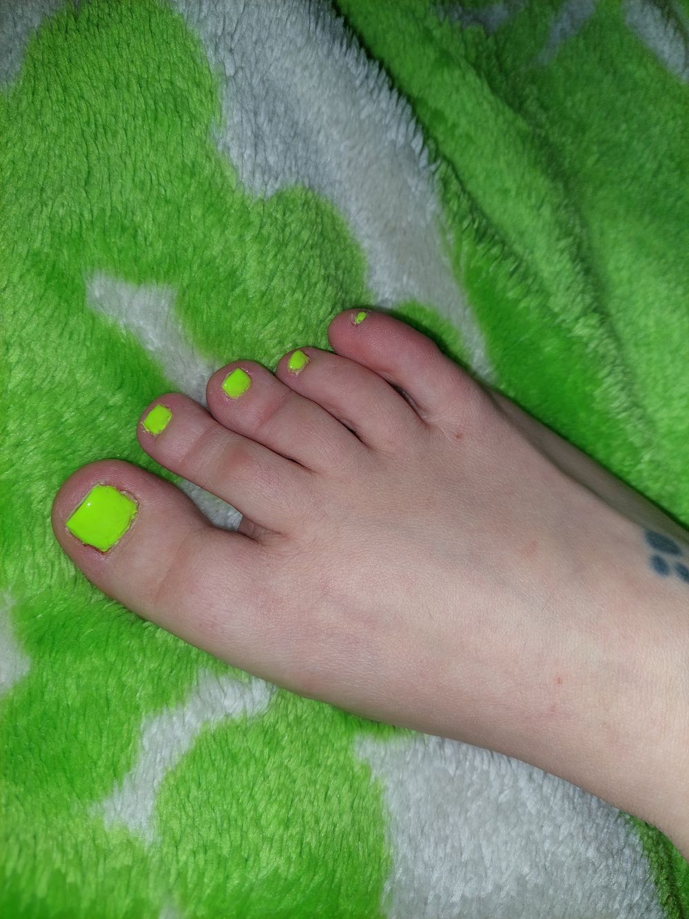 tenacious_toes OnlyFans profile picture