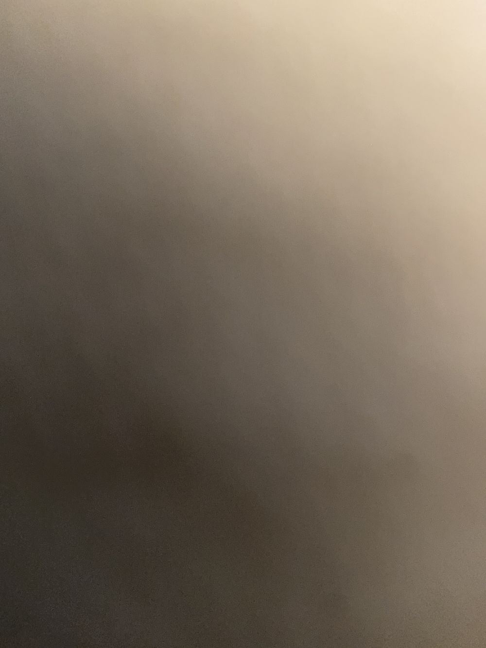 paigerhodes OnlyFans profile picture