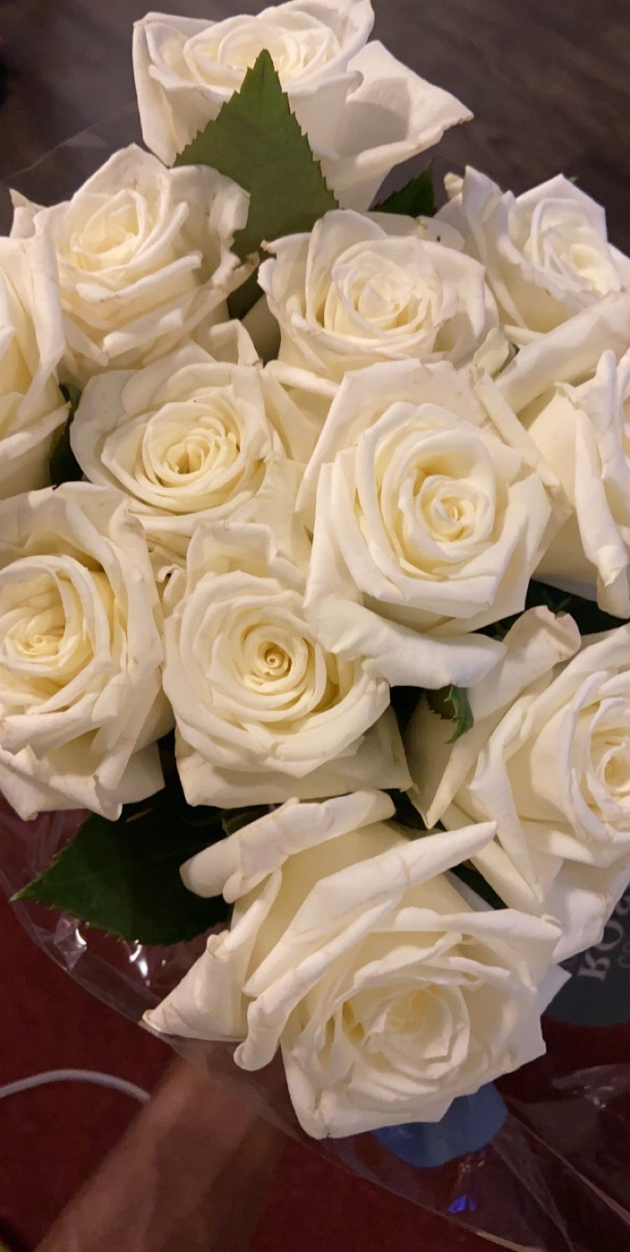 nofacenocase44 OnlyFans - Stats, Graphs, Photos & Profile Comparisons