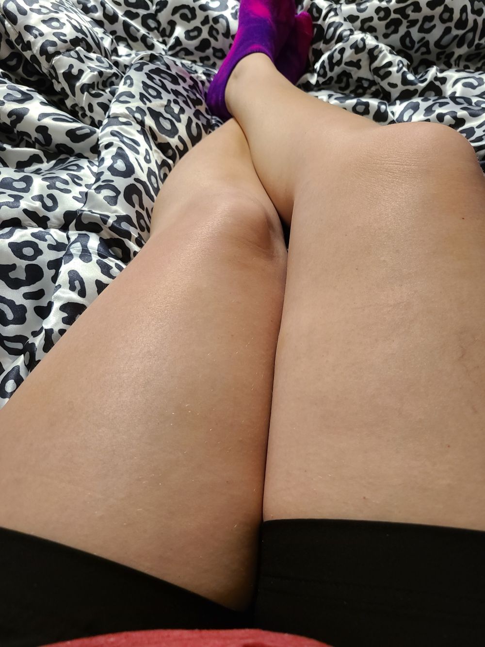 sassyass82 OnlyFans profile picture
