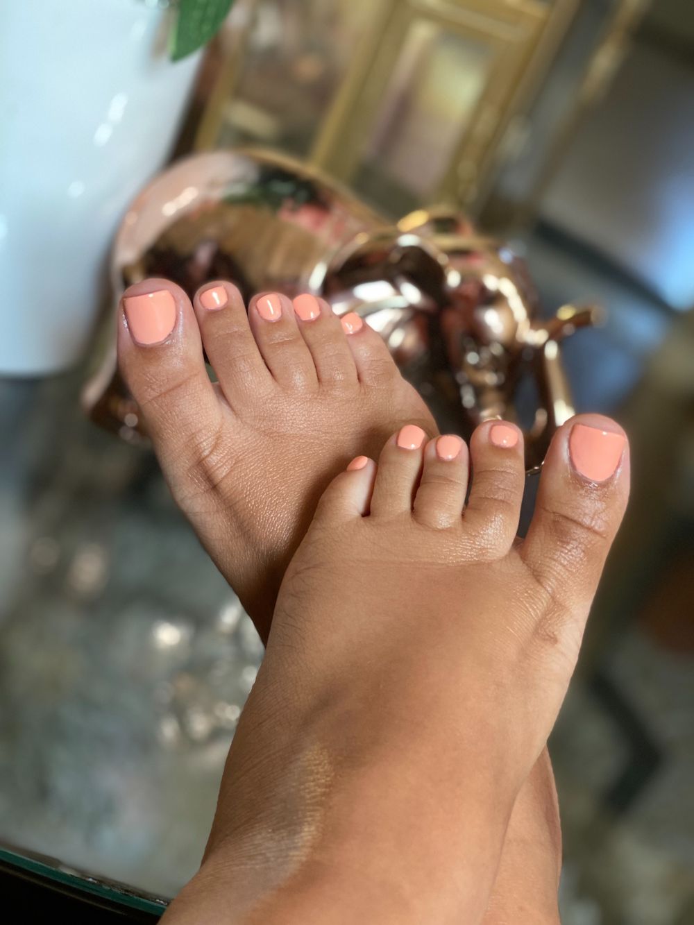 latinagoddessxx OnlyFans profile picture