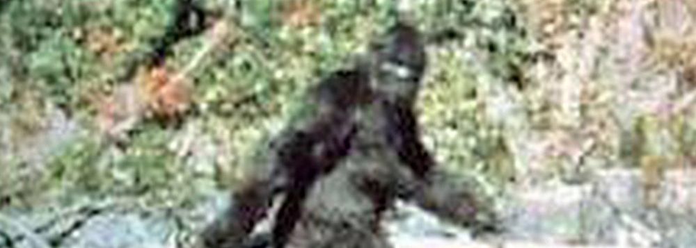 bigfoot16x16 OnlyFans profile picture
