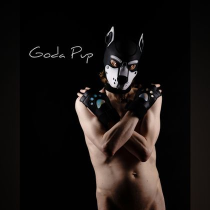 godapup OnlyFans picture