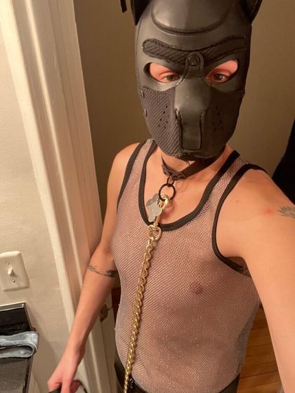 pupmaverickk OnlyFans picture