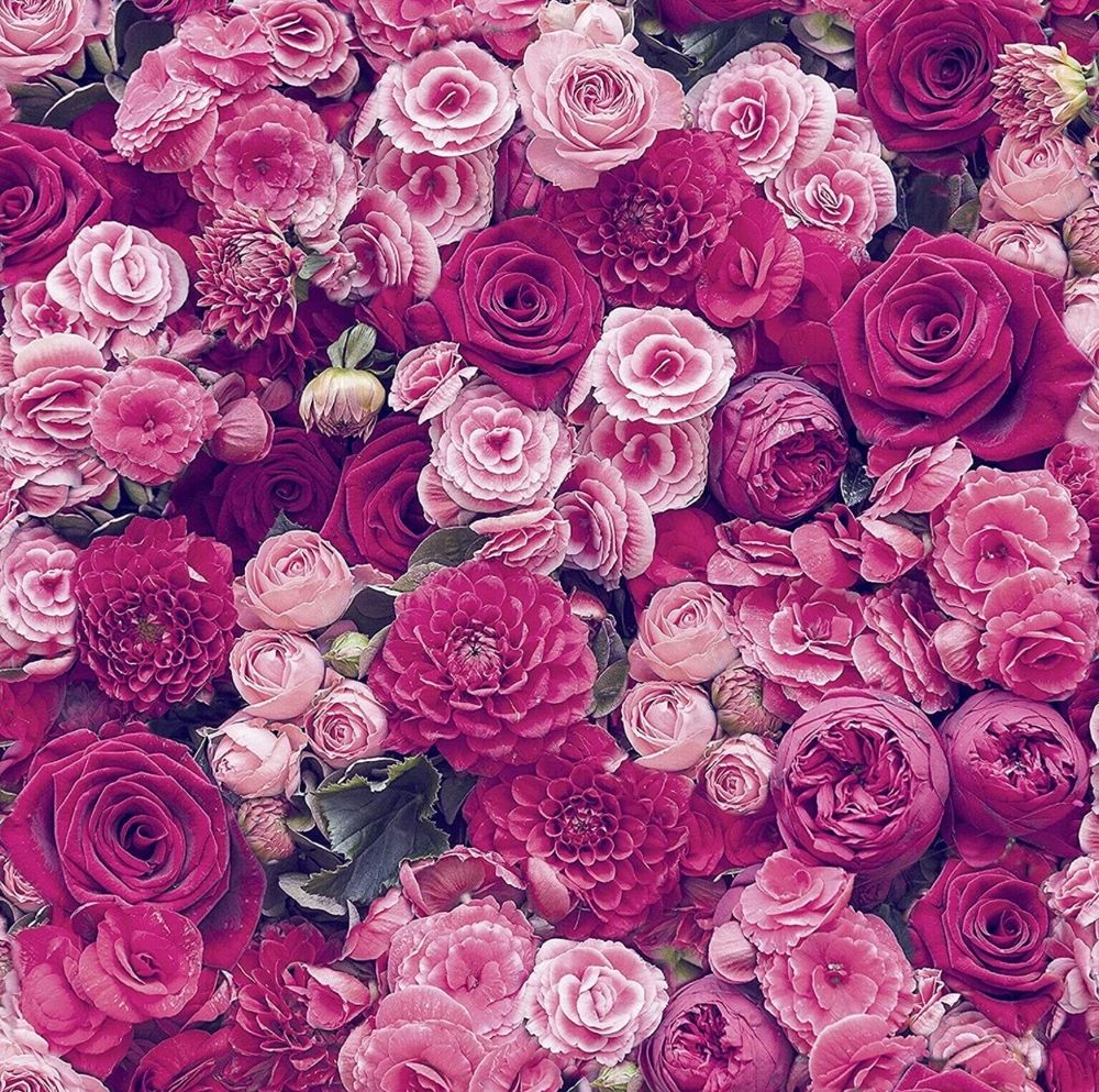 u268348103 OnlyFans profile picture