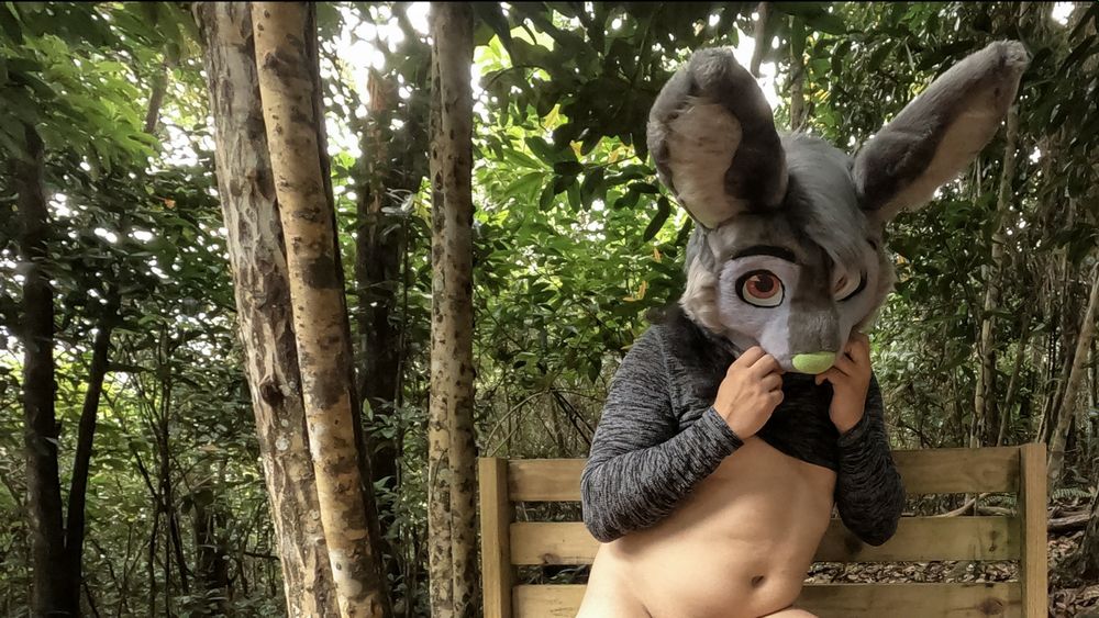 luteus OnlyFans profile picture