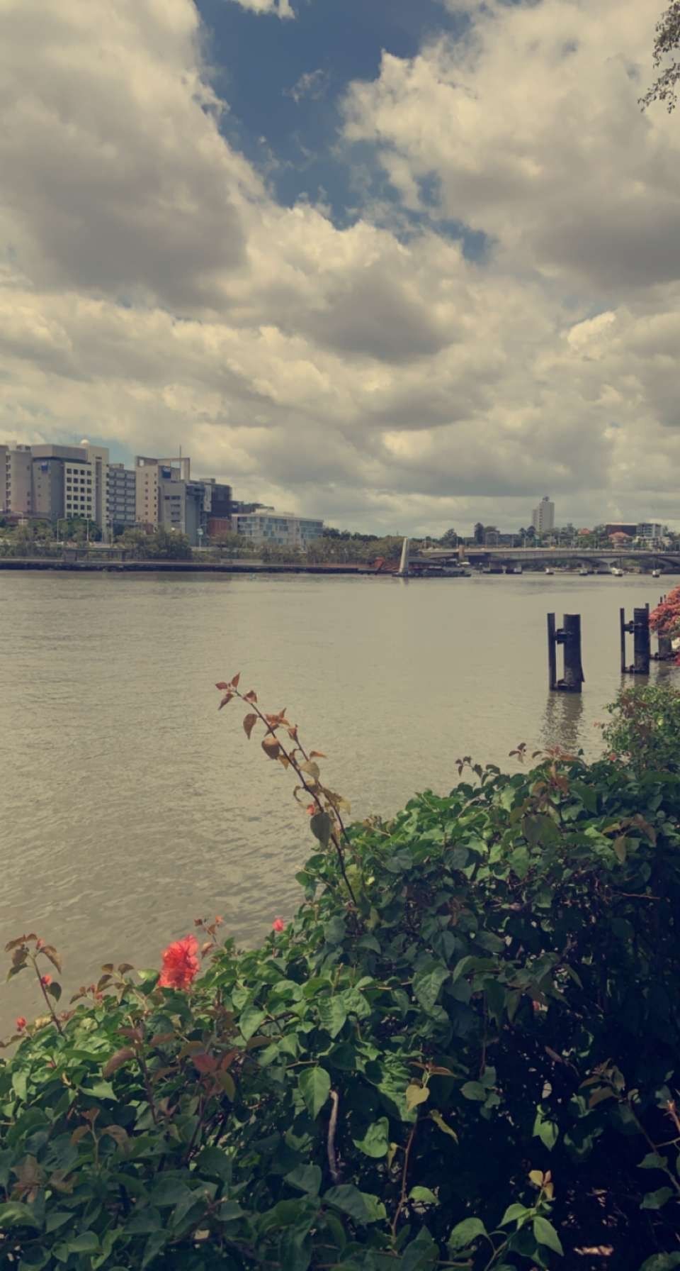 jaz.onlyfans OnlyFans - Free Trial - Photos - Socials | FansMetrics.com