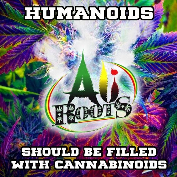 aliroots OnlyFans profile picture
