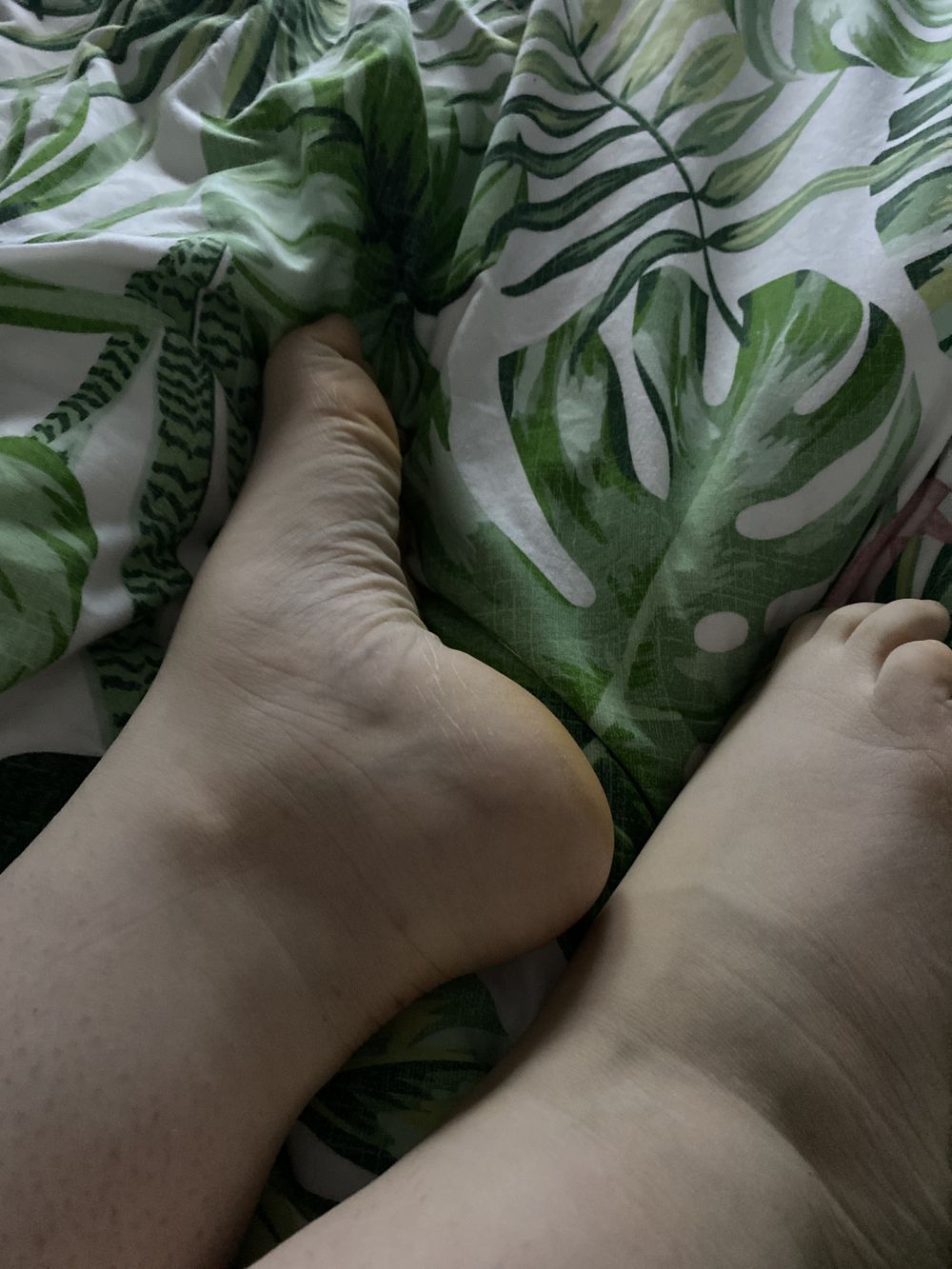 u73515365 OnlyFans profile picture