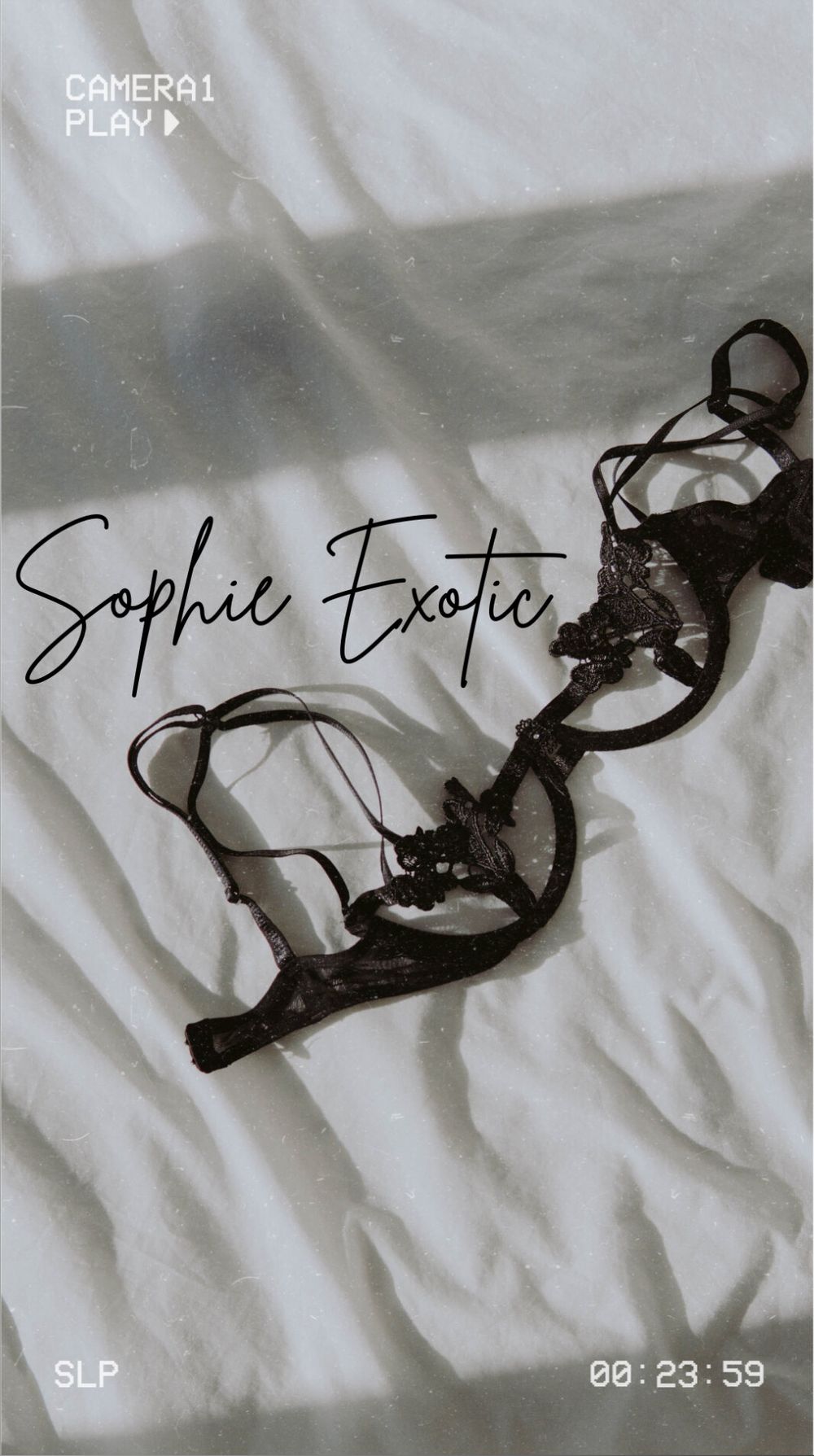 sophieexotic1 OnlyFans profile picture