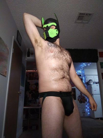 xenpupper OnlyFans picture