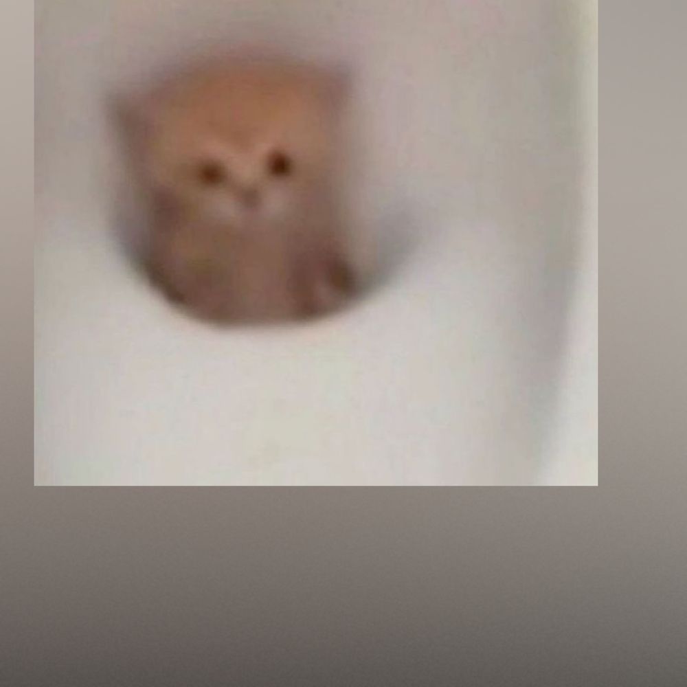 lmaothatsmessedup OnlyFans profile picture