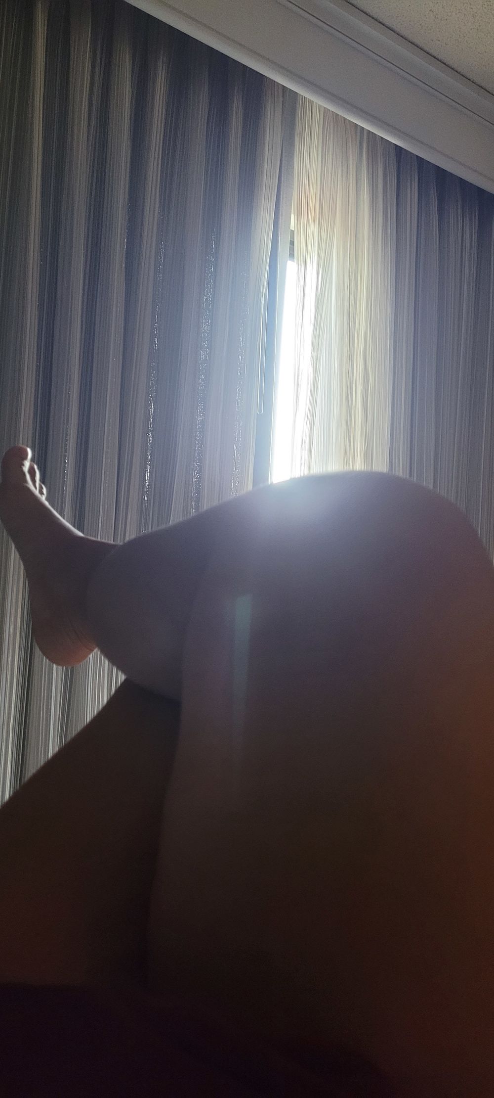 sugar.bear.thicckness OnlyFans profile picture