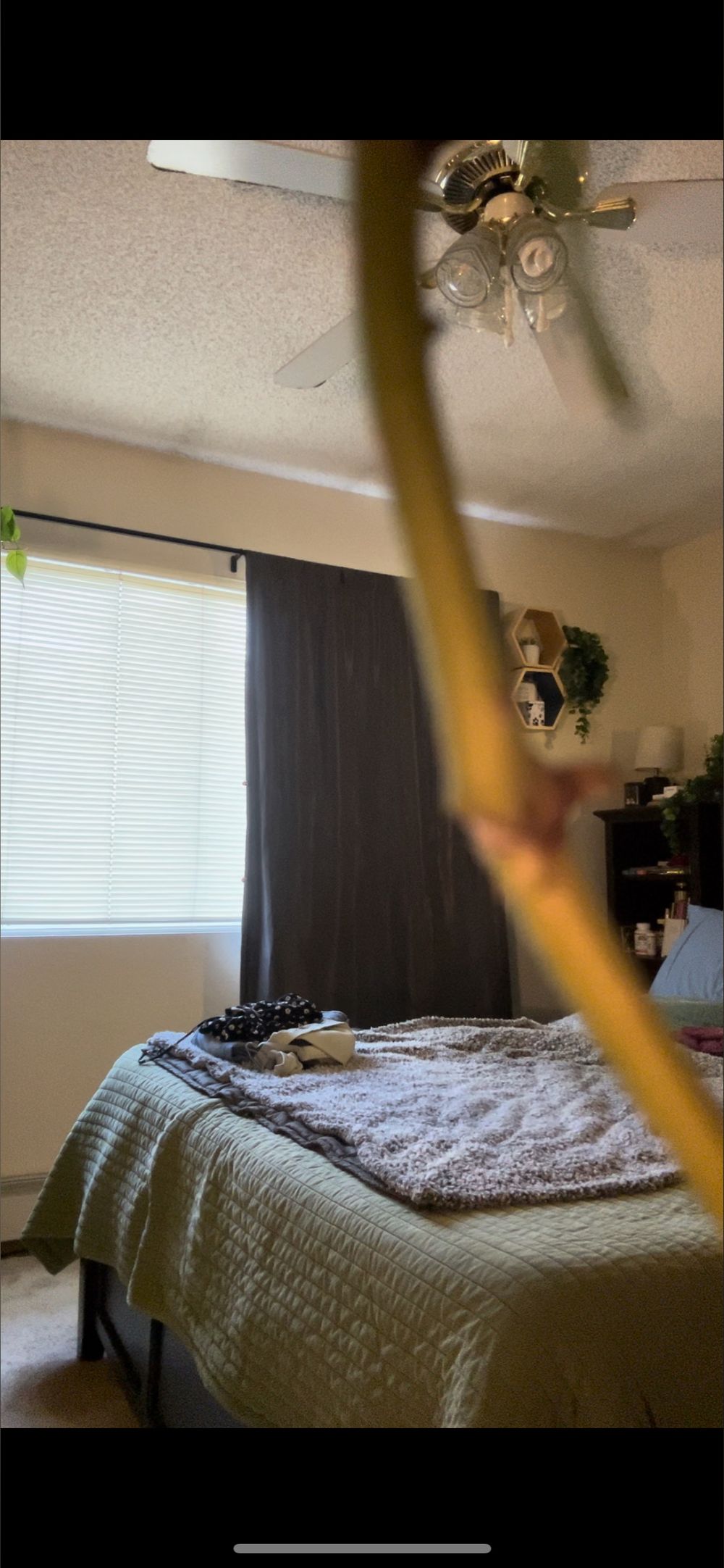 watchmyroommate OnlyFans profile picture