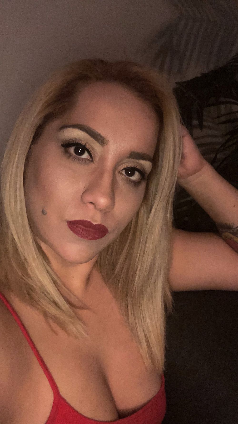 u95832840 OnlyFans profile picture