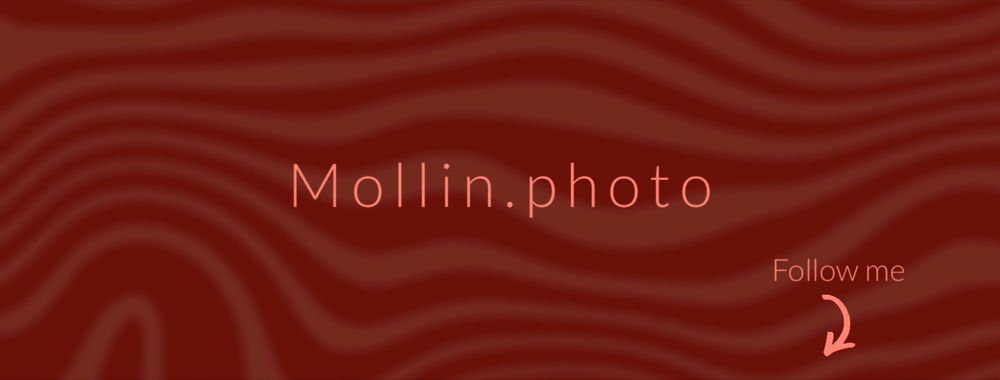 mollin_pt OnlyFans profile picture