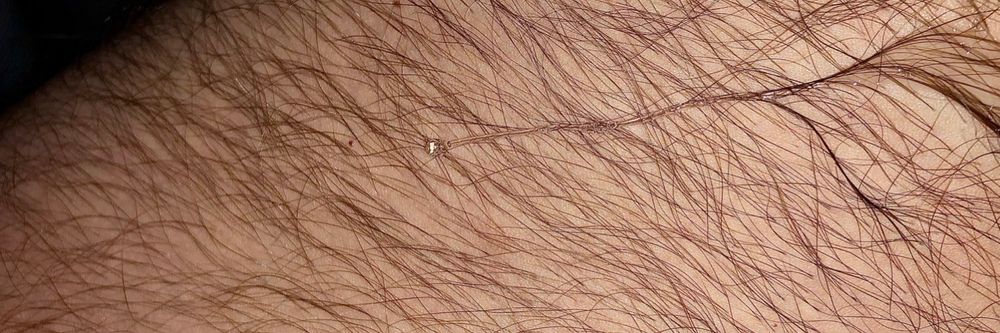 hairyalaskanartist OnlyFans profile picture