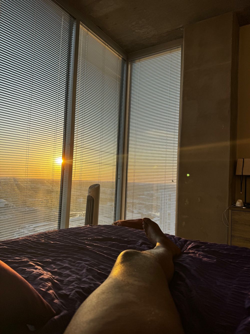 kingadonii OnlyFans profile picture