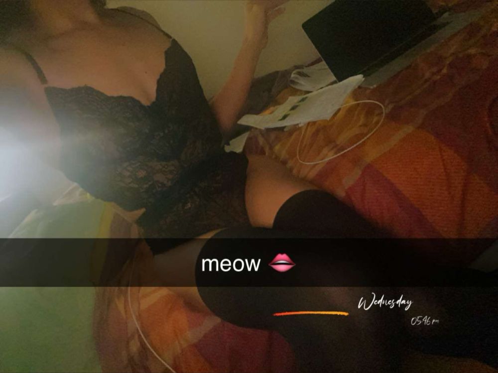 cutenerdyfemdoll OnlyFans profile picture