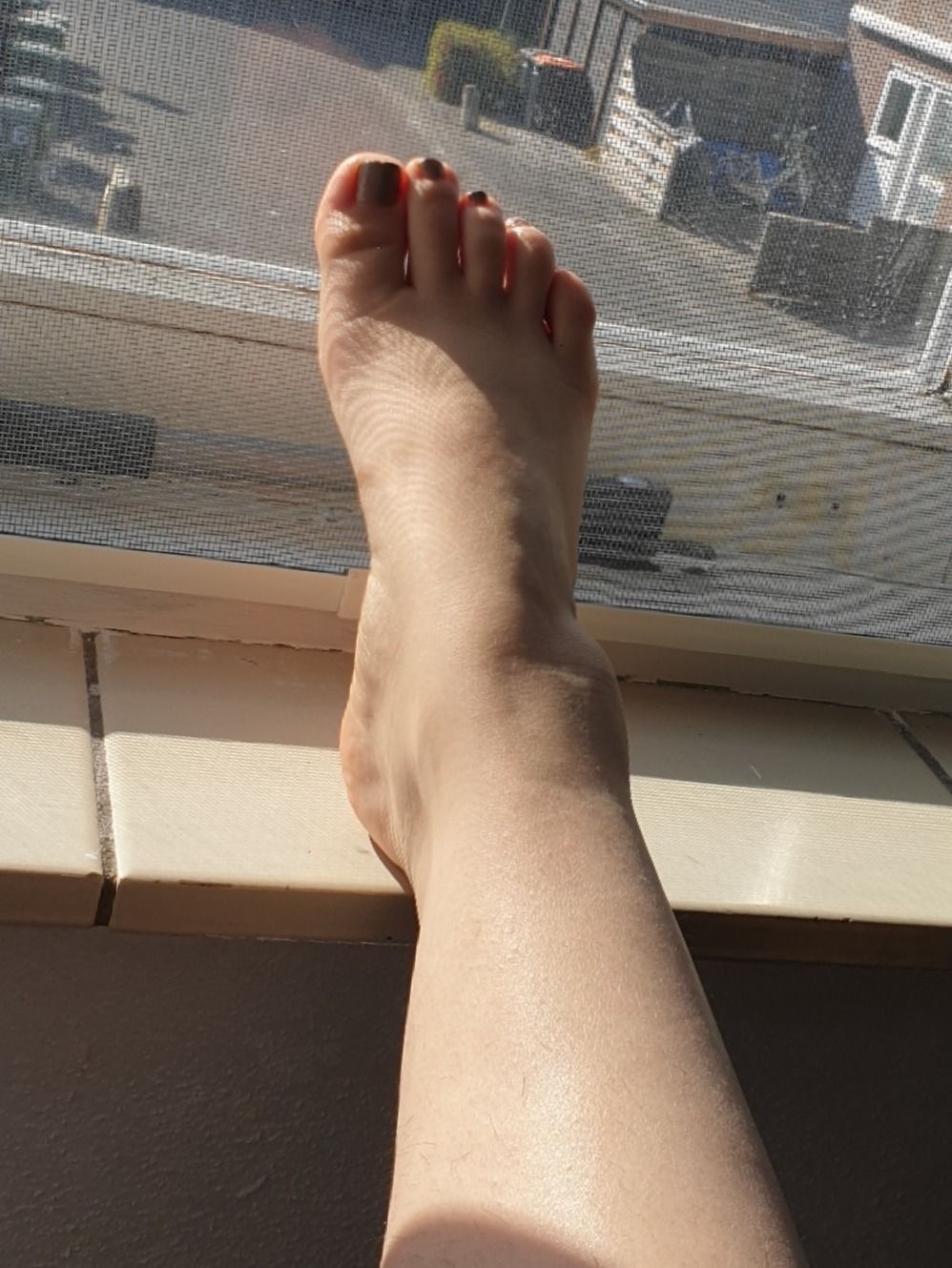 halfthaihalfdutch OnlyFans profile picture