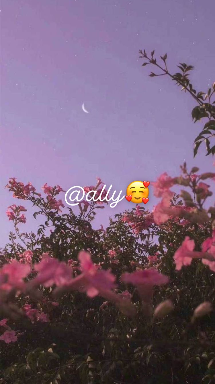 ally_scott OnlyFans profile picture