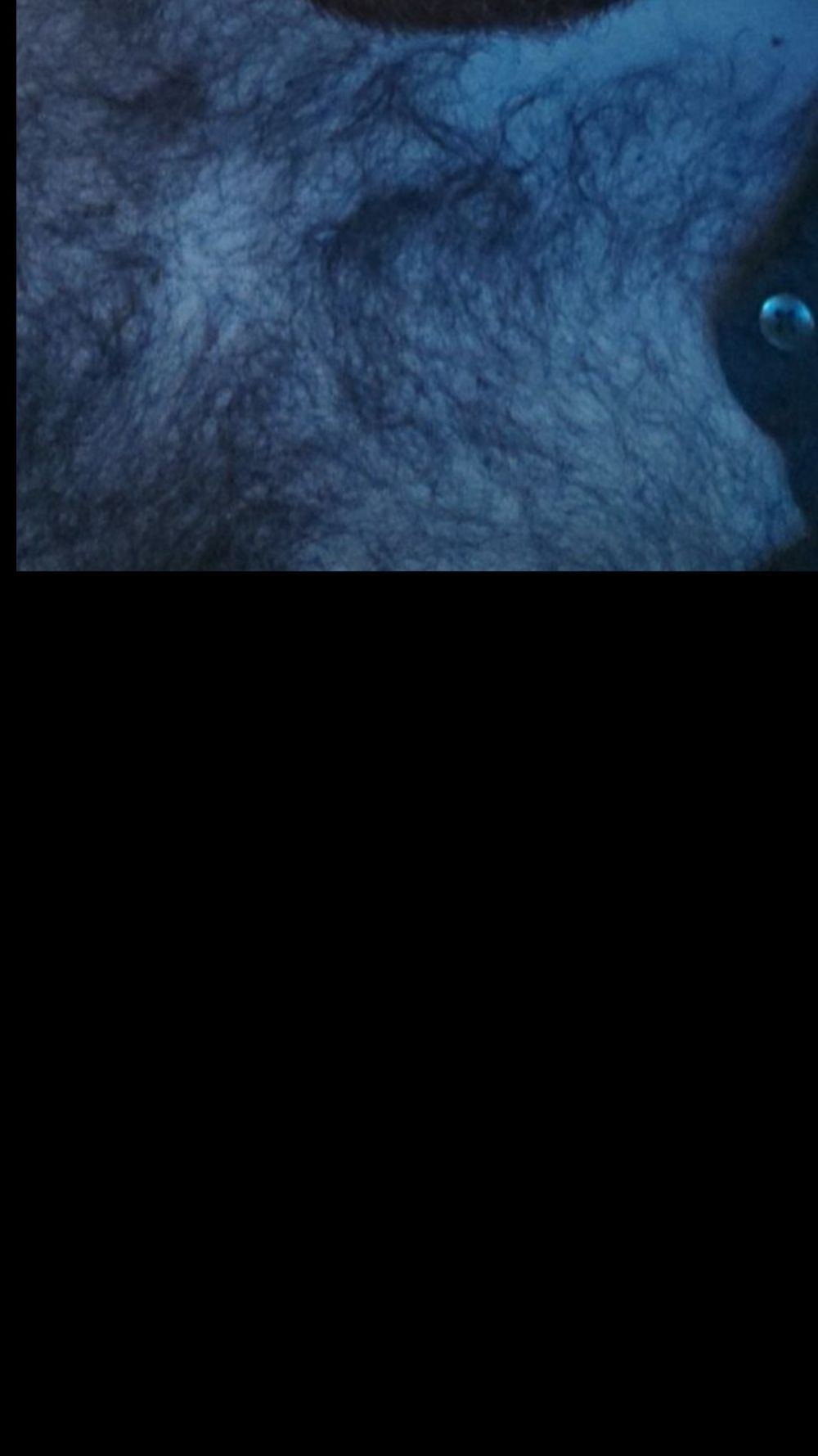 spankojono OnlyFans profile picture