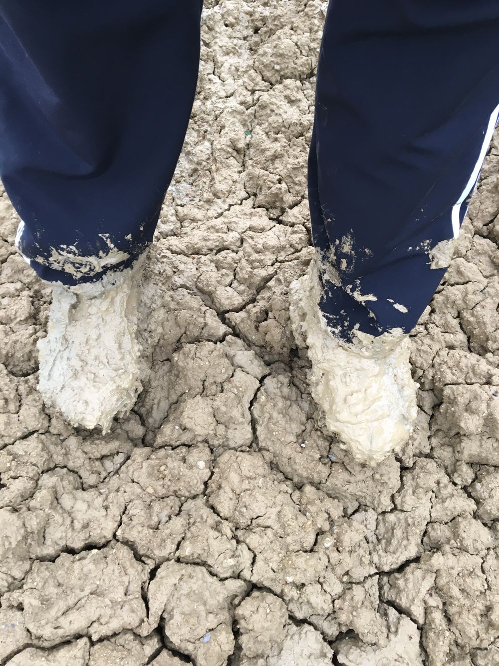 muddysideup OnlyFans profile picture