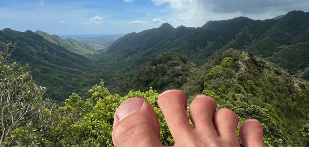 toestravelingtheworld OnlyFans profile picture