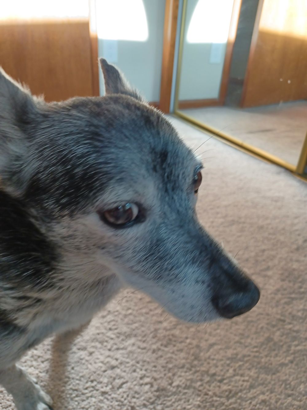 pandaisy OnlyFans profile picture