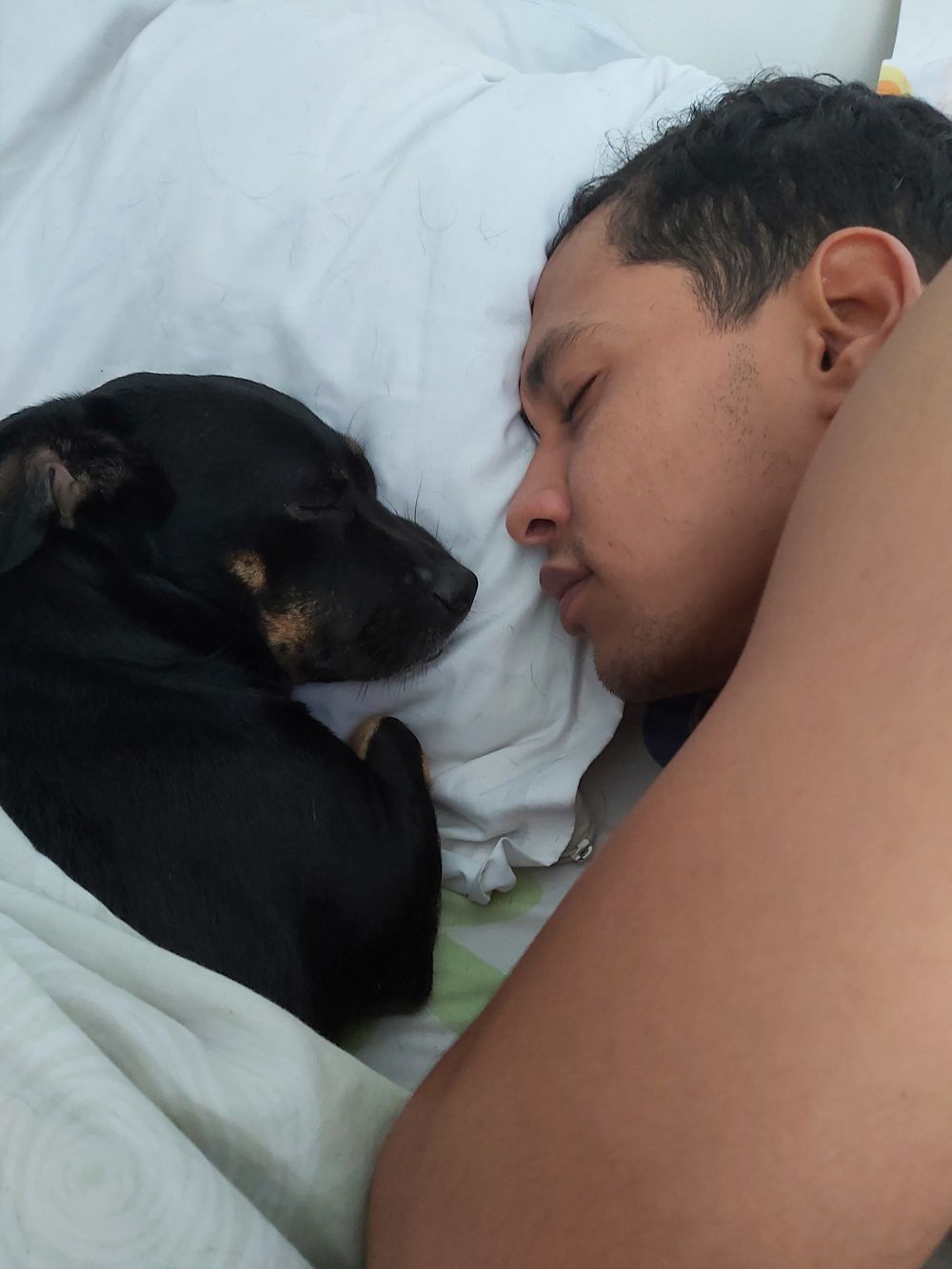dominicfans OnlyFans profile picture