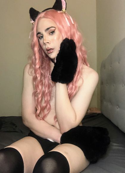 cutesubbypup OnlyFans picture