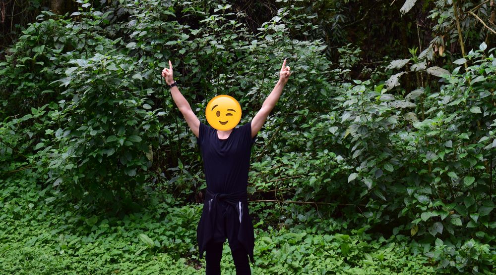 nofaceguy996 OnlyFans profile picture