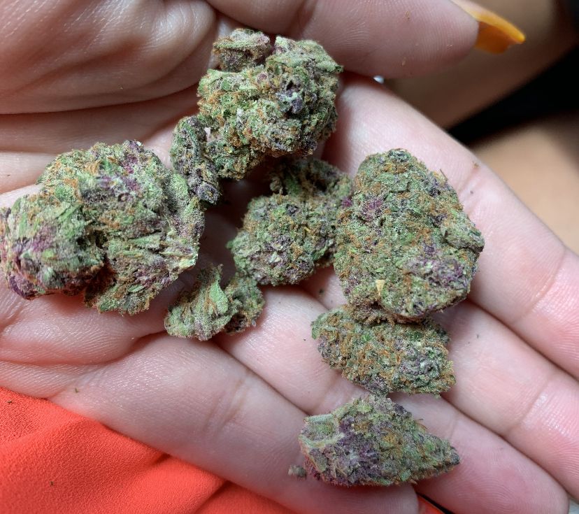 tittiesandweed OnlyFans profile picture