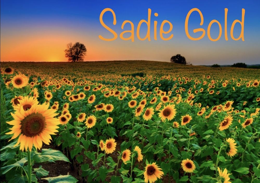 sadiegold OnlyFans profile picture