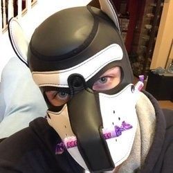 pupvixen OnlyFans picture