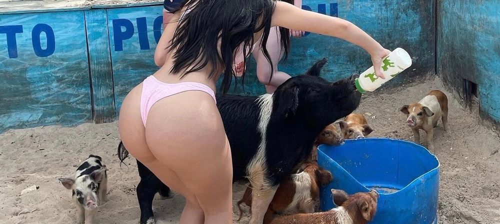 gissydolly OnlyFans profile picture