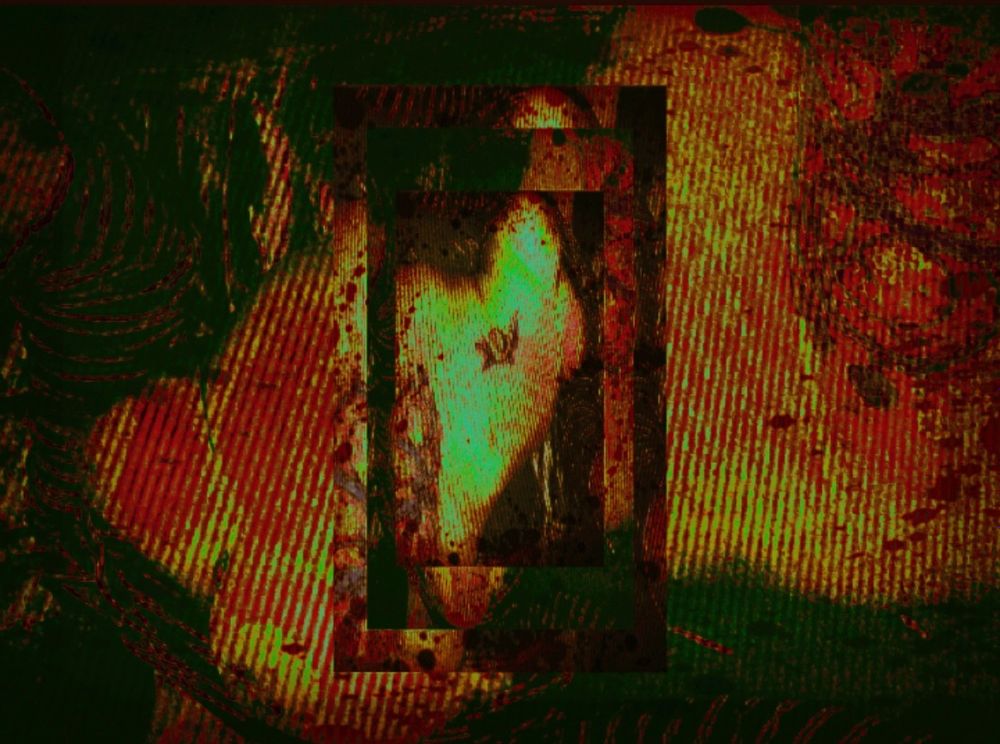 viobat666 OnlyFans profile picture