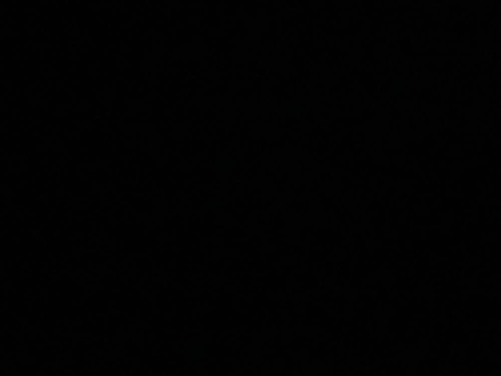mortykiller OnlyFans profile picture